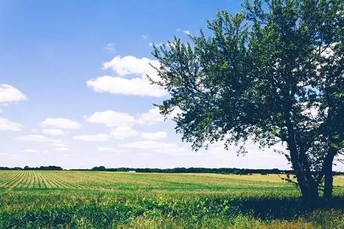 污泥碳化處理技術可充分實現(xiàn)污泥的資源化利用
