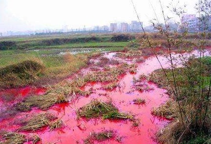 我國(guó)農(nóng)田污染土壤修復(fù)的現(xiàn)狀